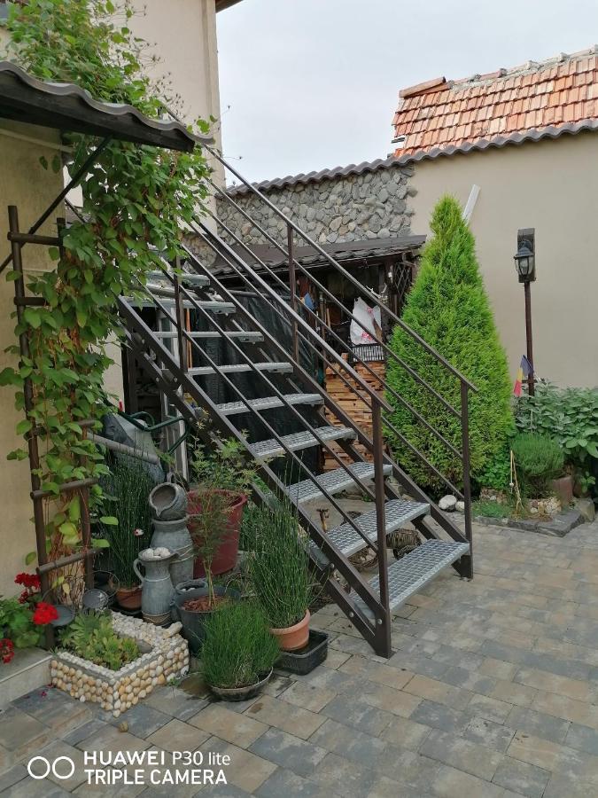 מלון Rasnov Retreat מראה חיצוני תמונה
