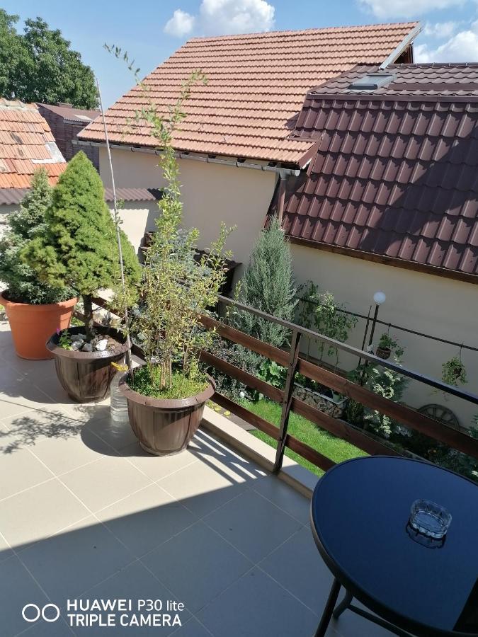 מלון Rasnov Retreat מראה חיצוני תמונה